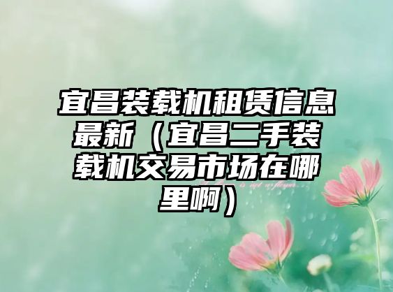 宜昌裝載機租賃信息最新（宜昌二手裝載機交易市場在哪里?。? class=