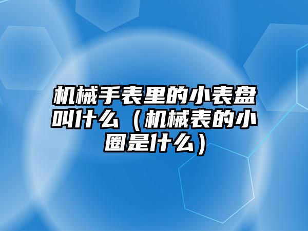 機械手表里的小表盤叫什么（機械表的小圈是什么）