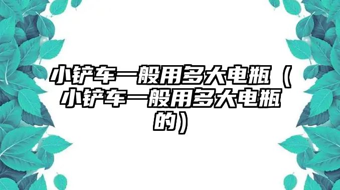 小鏟車一般用多大電瓶（小鏟車一般用多大電瓶的）