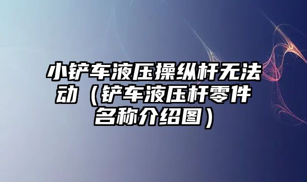 小鏟車液壓操縱桿無法動（鏟車液壓桿零件名稱介紹圖）