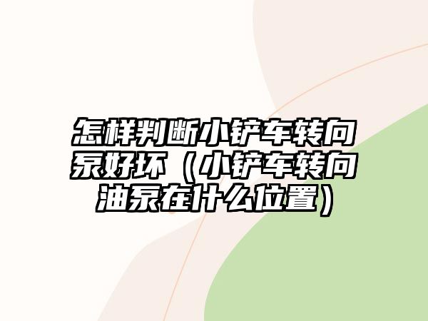 怎樣判斷小鏟車轉向泵好壞（小鏟車轉向油泵在什么位置）