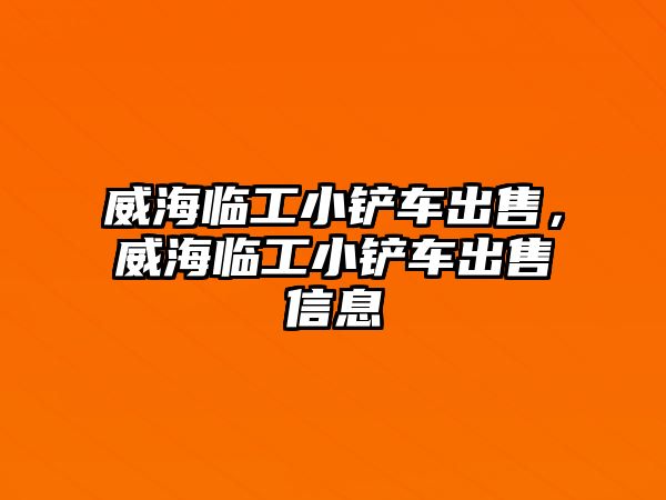 威海臨工小鏟車出售，威海臨工小鏟車出售信息