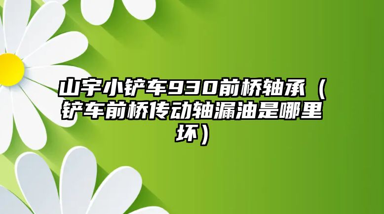 山宇小鏟車930前橋軸承（鏟車前橋傳動軸漏油是哪里壞）