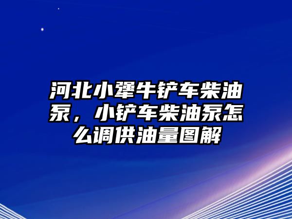 河北小犟牛鏟車柴油泵，小鏟車柴油泵怎么調供油量圖解