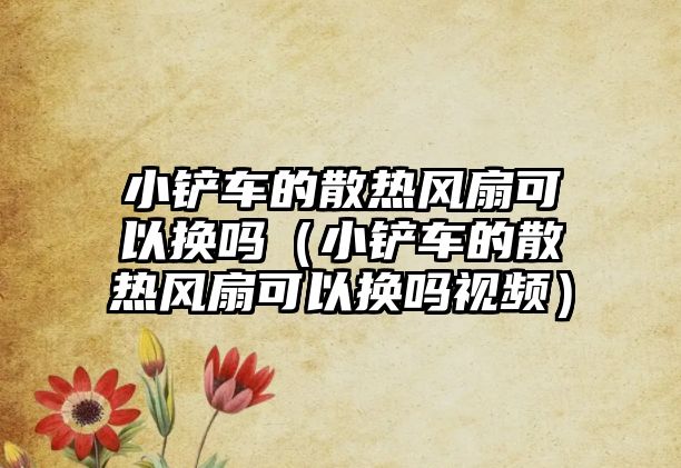 小鏟車的散熱風扇可以換嗎（小鏟車的散熱風扇可以換嗎視頻）