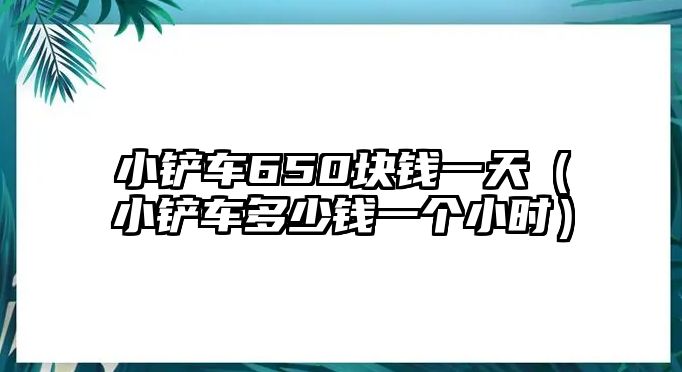 小鏟車650塊錢一天（小鏟車多少錢一個小時）