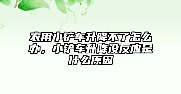 農用小鏟車升降不了怎么辦，小鏟車升降沒反應是什么原因