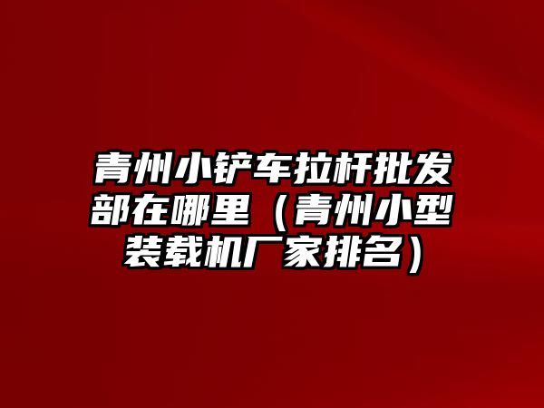 青州小鏟車?yán)瓧U批發(fā)部在哪里（青州小型裝載機(jī)廠家排名）