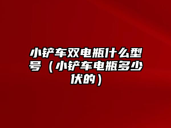 小鏟車雙電瓶什么型號（小鏟車電瓶多少伏的）