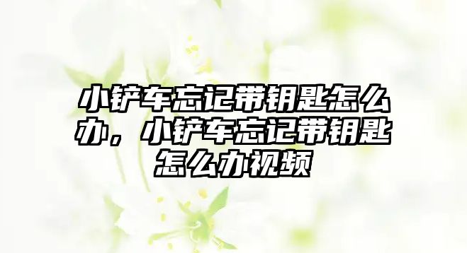 小鏟車忘記帶鑰匙怎么辦，小鏟車忘記帶鑰匙怎么辦視頻