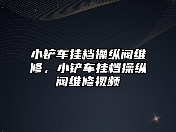 小鏟車掛檔操縱閥維修，小鏟車掛檔操縱閥維修視頻