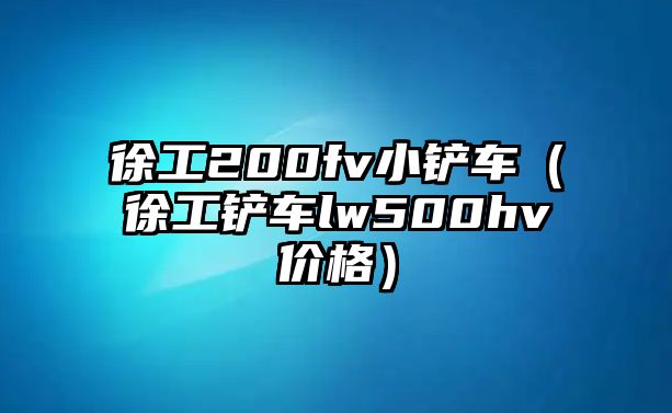 徐工200fv小鏟車（徐工鏟車lw500hv價格）