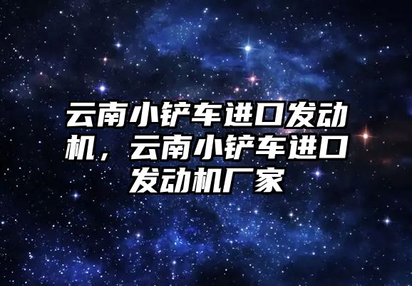 云南小鏟車進口發動機，云南小鏟車進口發動機廠家