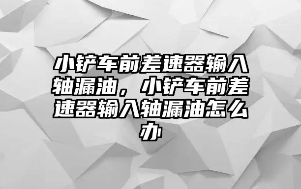 小鏟車前差速器輸入軸漏油，小鏟車前差速器輸入軸漏油怎么辦