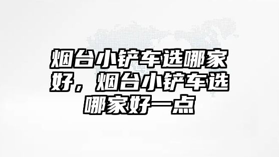 煙臺小鏟車選哪家好，煙臺小鏟車選哪家好一點