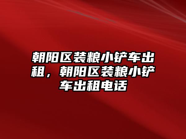 朝陽區裝糧小鏟車出租，朝陽區裝糧小鏟車出租電話