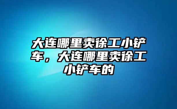 大連哪里賣徐工小鏟車，大連哪里賣徐工小鏟車的