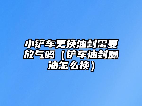 小鏟車更換油封需要放氣嗎（鏟車油封漏油怎么換）