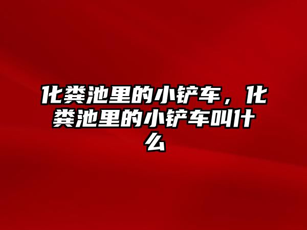 化糞池里的小鏟車，化糞池里的小鏟車叫什么