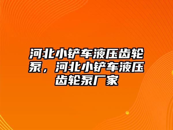 河北小鏟車液壓齒輪泵，河北小鏟車液壓齒輪泵廠家