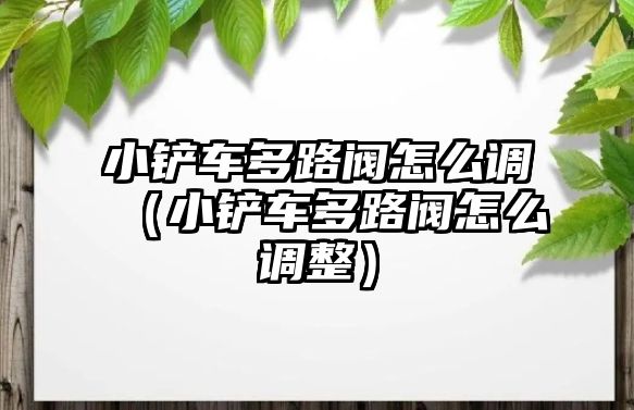 小鏟車多路閥怎么調（小鏟車多路閥怎么調整）