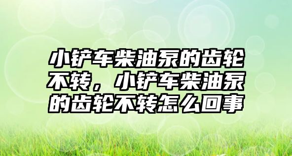 小鏟車柴油泵的齒輪不轉，小鏟車柴油泵的齒輪不轉怎么回事