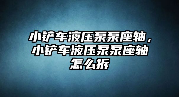 小鏟車液壓泵泵座軸，小鏟車液壓泵泵座軸怎么拆