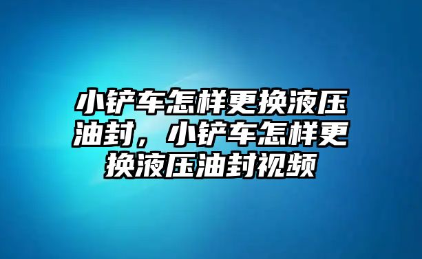 小鏟車怎樣更換液壓油封，小鏟車怎樣更換液壓油封視頻