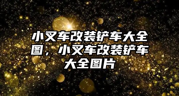 小叉車改裝鏟車大全圖，小叉車改裝鏟車大全圖片