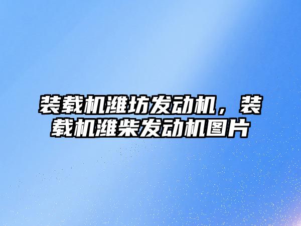 裝載機濰坊發動機，裝載機濰柴發動機圖片