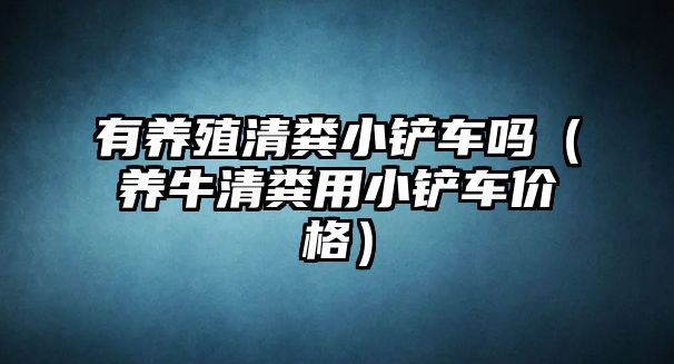 有養殖清糞小鏟車嗎（養牛清糞用小鏟車價格）
