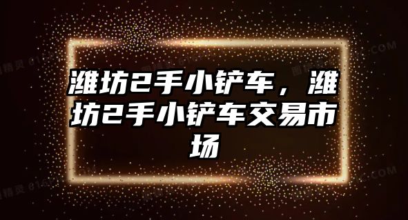 濰坊2手小鏟車，濰坊2手小鏟車交易市場