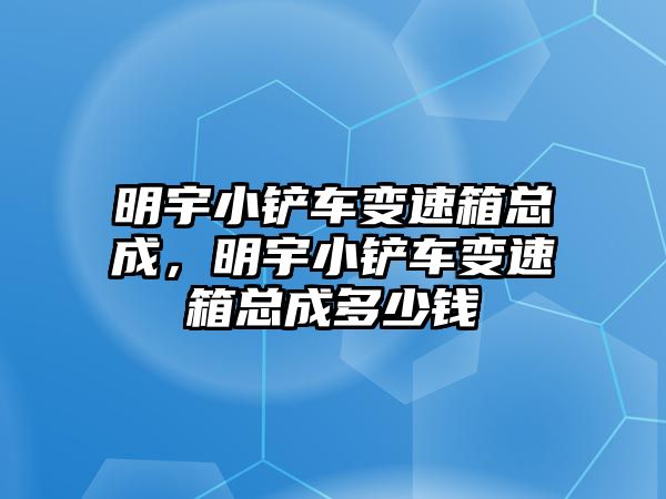 明宇小鏟車變速箱總成，明宇小鏟車變速箱總成多少錢