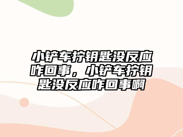 小鏟車擰鑰匙沒反應咋回事，小鏟車擰鑰匙沒反應咋回事啊