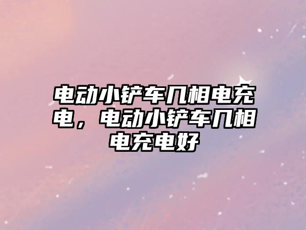 電動小鏟車幾相電充電，電動小鏟車幾相電充電好