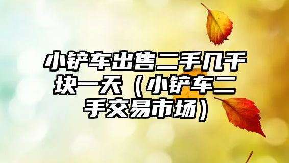 小鏟車(chē)出售二手幾千塊一天（小鏟車(chē)二手交易市場(chǎng)）