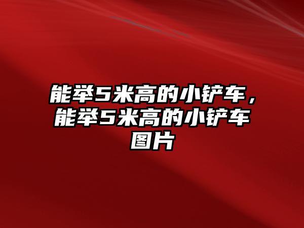 能舉5米高的小鏟車，能舉5米高的小鏟車圖片