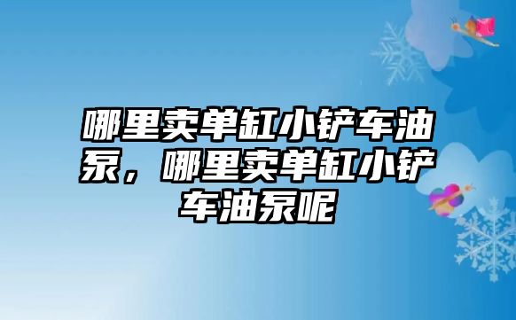 哪里賣單缸小鏟車油泵，哪里賣單缸小鏟車油泵呢