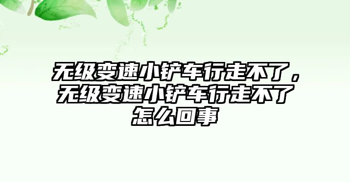 無級變速小鏟車行走不了，無級變速小鏟車行走不了怎么回事