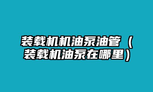 裝載機機油泵油管（裝載機油泵在哪里）