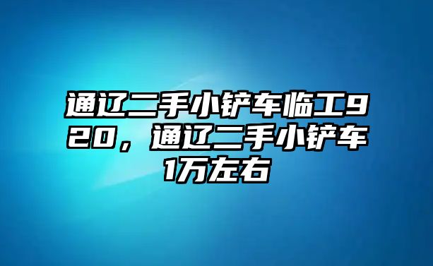 通遼二手小鏟車臨工920，通遼二手小鏟車1萬左右