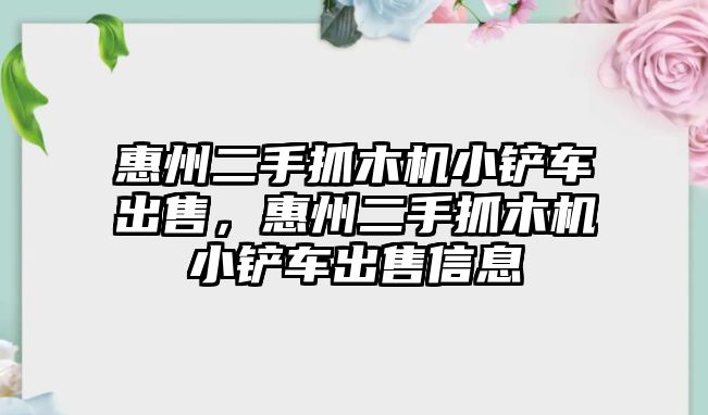 惠州二手抓木機小鏟車出售，惠州二手抓木機小鏟車出售信息