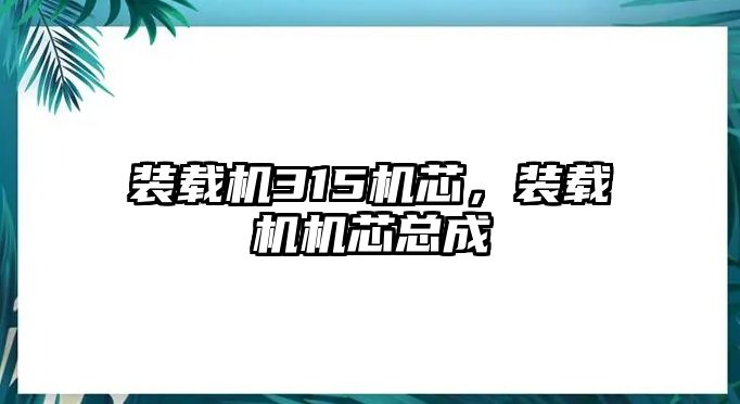 裝載機315機芯，裝載機機芯總成