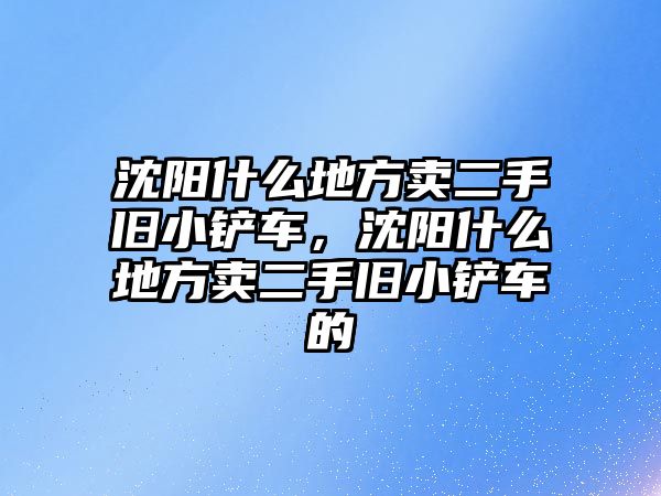 沈陽什么地方賣二手舊小鏟車，沈陽什么地方賣二手舊小鏟車的