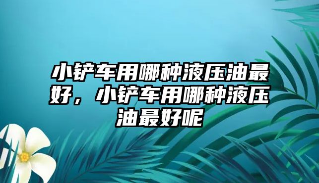 小鏟車用哪種液壓油最好，小鏟車用哪種液壓油最好呢