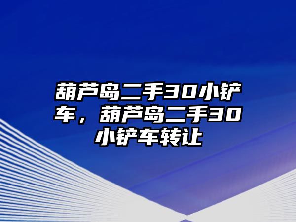 葫蘆島二手30小鏟車，葫蘆島二手30小鏟車轉讓