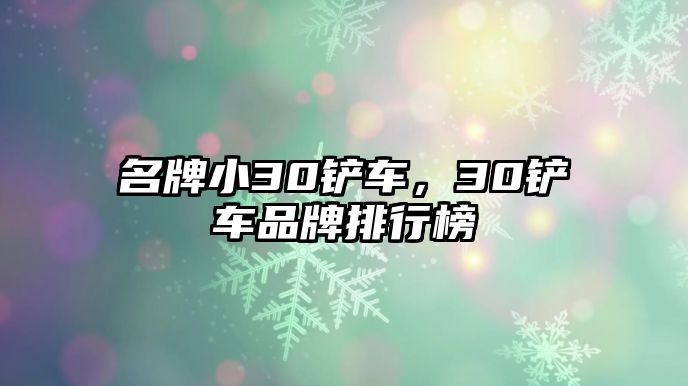 名牌小30鏟車，30鏟車品牌排行榜