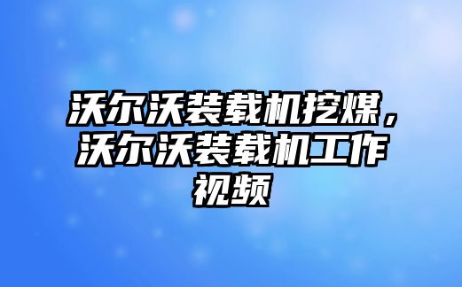 沃爾沃裝載機挖煤，沃爾沃裝載機工作視頻