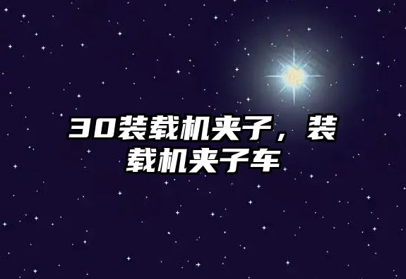 30裝載機夾子，裝載機夾子車