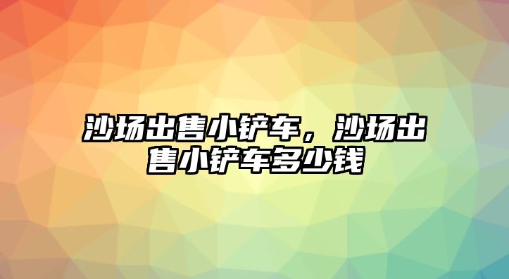 沙場出售小鏟車，沙場出售小鏟車多少錢